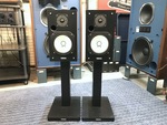 NS-10MT+SPS-T10