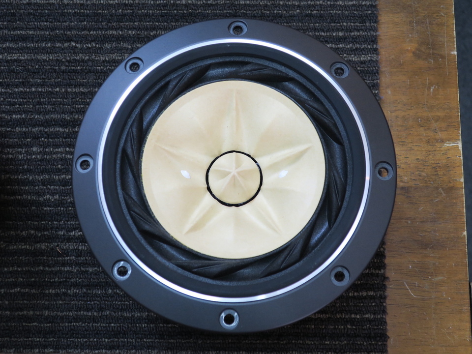 FOSTEX FE-168ES 限定ユニット 音出ます 小売業者 FOSTEX FE-168ES