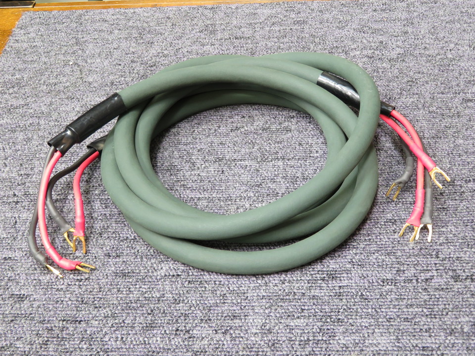 EINSTEIN GREENLINE Vivace スピーカーケーブル270cm