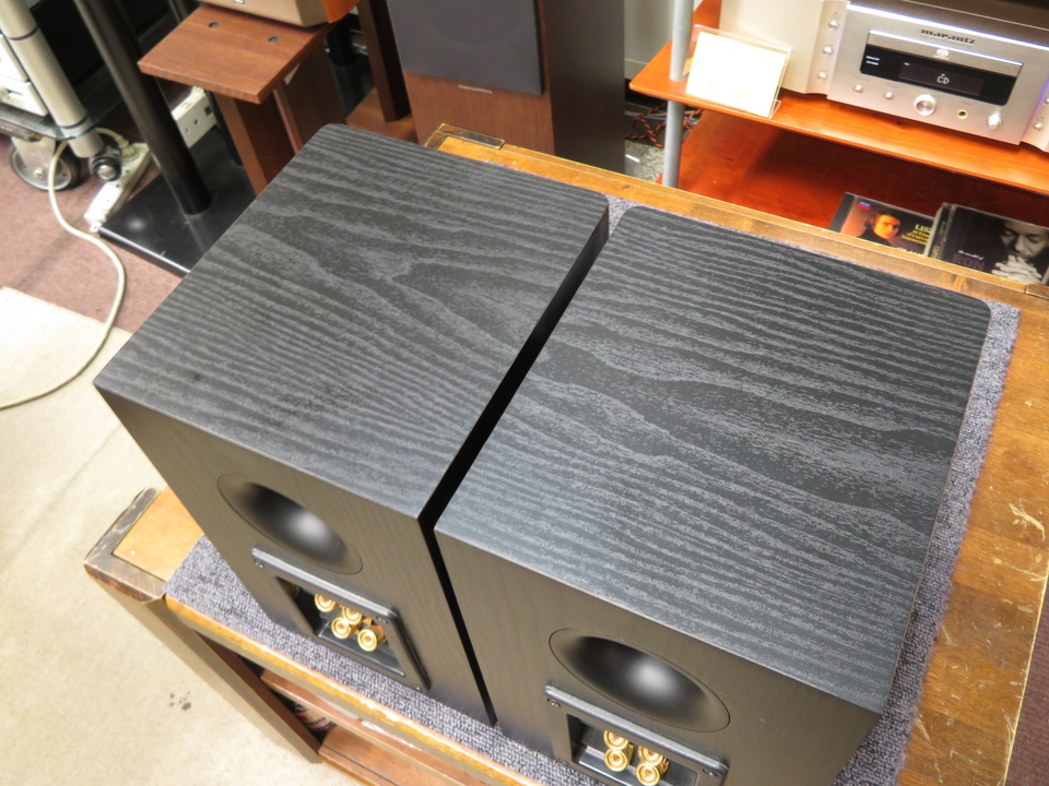 TR-SP1 TRIODE - 中古オーディオ 高価買取・販売 ハイファイ堂