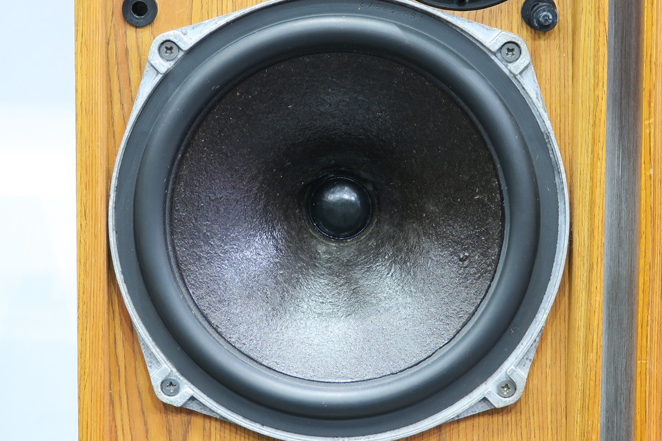 DITTON 15 CELESTION - 中古オーディオ 高価買取・販売 ハイファイ堂