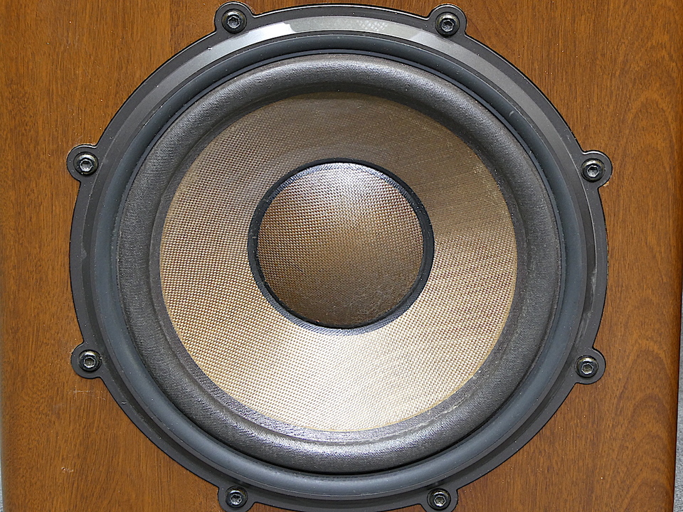 DS-1000ZX DIATONE - HiFi-Do McIntosh/JBL/audio-technica/Jeff