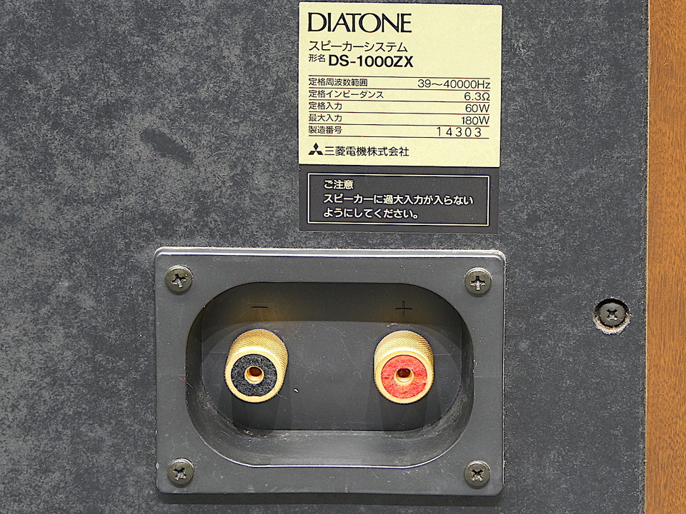 DS-1000ZX DIATONE - HiFi-Do McIntosh/JBL/audio-technica/Jeff