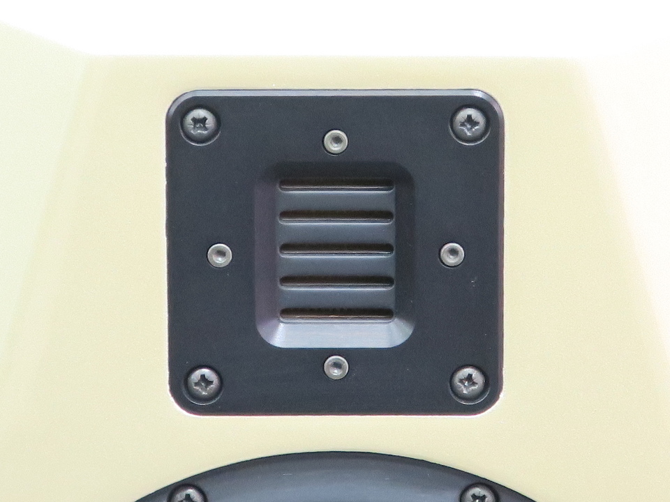 最終値下げ MARK&DANIEL マーク＆ダニエル 2本