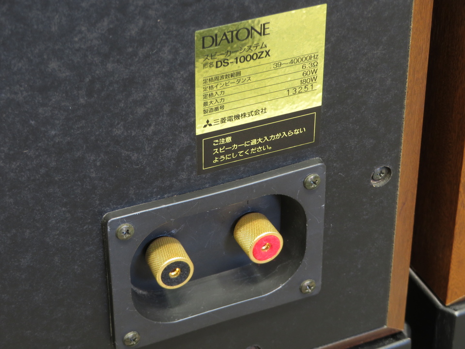 DS-1000ZX+DK-1000ZX DIATONE - 中古オーディオ 高価買取・販売
