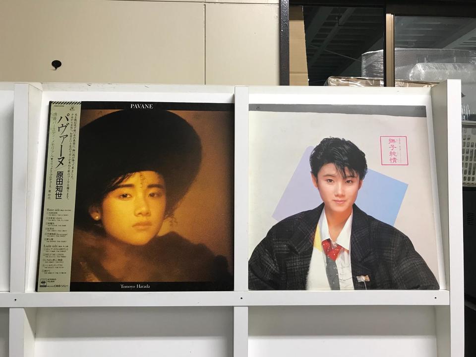 原田知世5枚セット - 中古オーディオ 高価買取・販売 ハイファイ堂