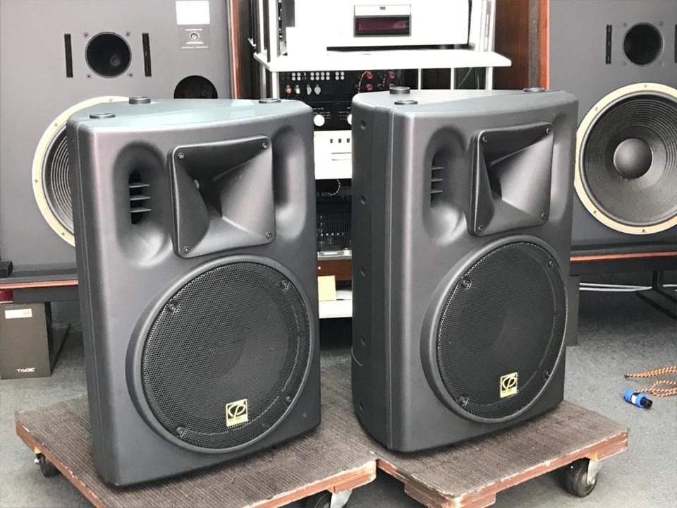 CLASSIC PRO CSP12 スピーカー　ケーブル2本付 CLASSIC PRO CSP12 スピーカー ケーブル2本付（CLASSIC PRO