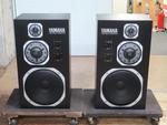 NS-1000M