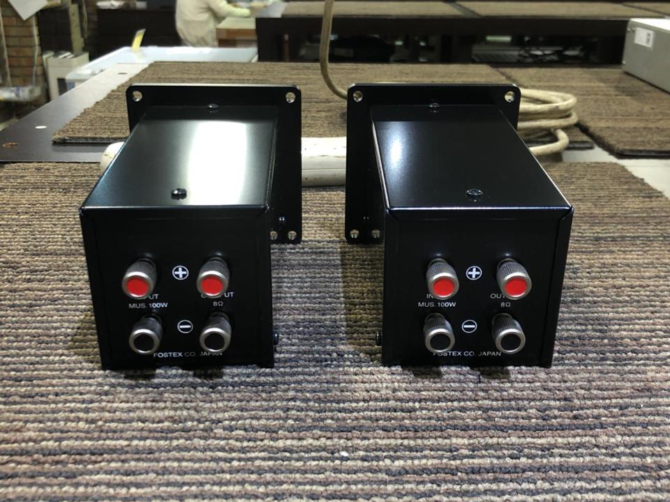 FOSTEX R100T2 [2個1組販売] (フォステクス スピーカーネットワーク用