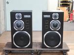 NS-1000M