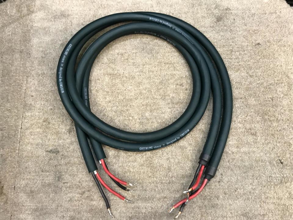 GREENLINE VIVACE/1.3m EINSTEIN - 中古オーディオ 高価買取