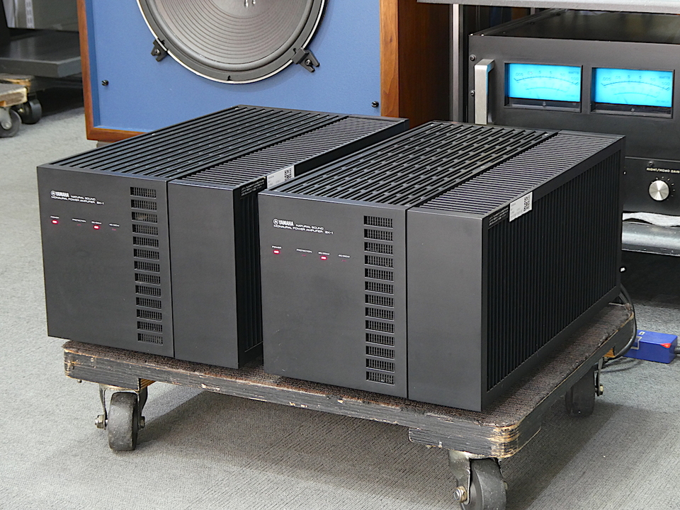 BX-1　YAMAHA Yamaha BX 1 - headless bass - General Discussion - Basschat