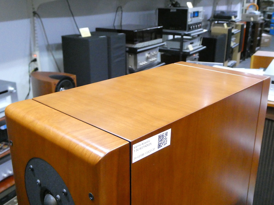 T-3G BEETHOVEN Concert Grand Vienna acoustics - 中古オーディオ
