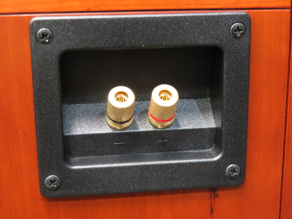 Pioneer LE-101Aペア Pioneer LE-101Aペア パイオニア Pioneer PE-101A