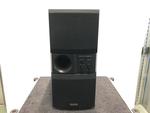 DSW-101