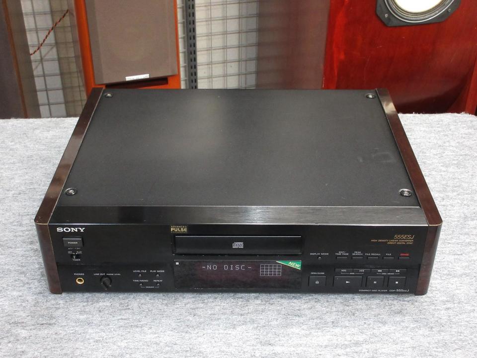 185【現状品】 SONY デジタルオーディオプレーヤー NW-A45HN 動作