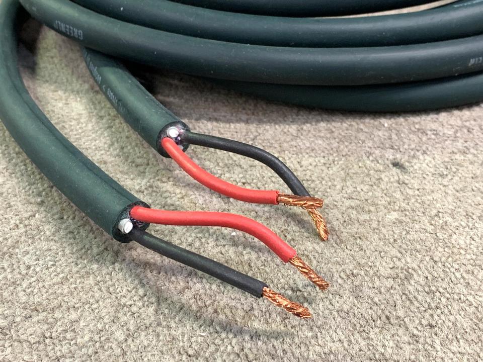 GREENLINE vivace/2.7m EINSTEIN - 中古オーディオ 高価買取