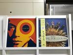 藤井フミヤ5枚セット