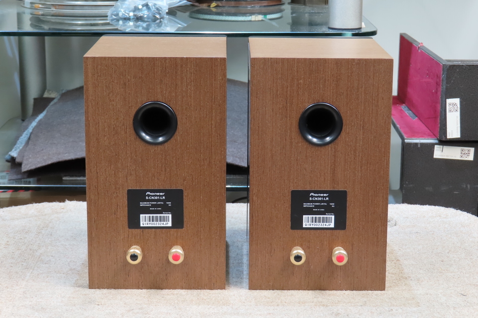 S-CN301-LR Pioneer - 中古オーディオ 高価買取・販売 ハイファイ堂