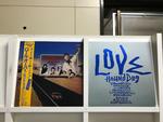 HOUND DOG5枚セット