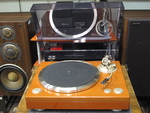 DP-1300M