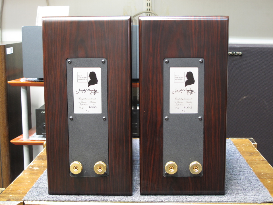 【中古】 Symphony I / Haydn Variations / オムニバス(クラシック) HAYDN GRAND SYMPHONY EDITION Vienna Acoustics - 中古