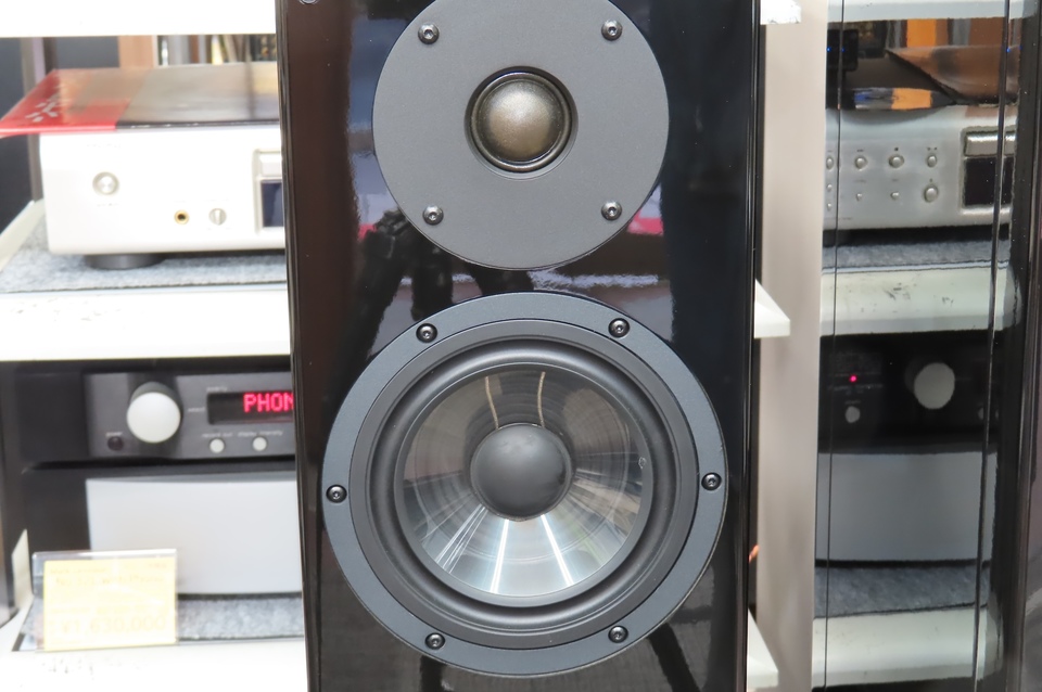 Beethoven Baby Grand SE Vienna Acoustics - 中古オーディオ 高価買取