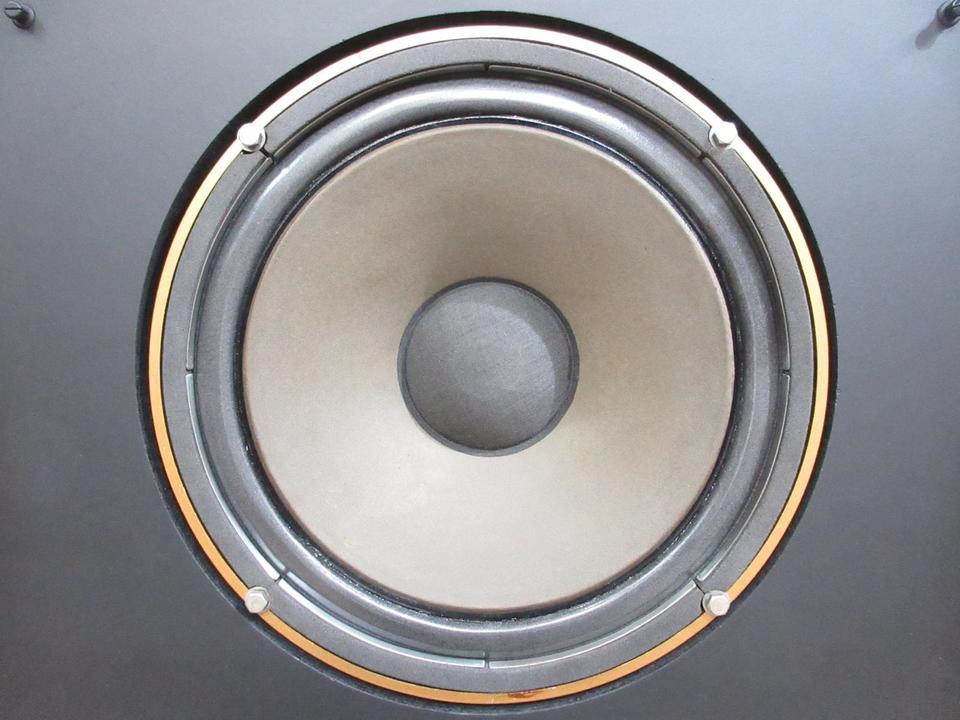 ARDEN TANNOY - 中古オーディオ 高価買取・販売 ハイファイ堂
