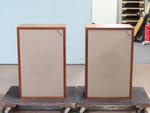 3LZ/MONITOR GOLD