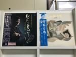 大川栄策５枚セット