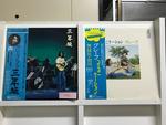 グレープ5枚セット