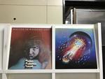ロック5枚セット
