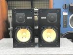 NS-10M