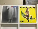 見本盤５枚セット