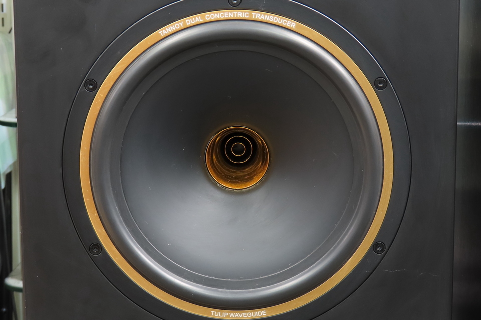 TANNOY GOLD 8 アクティブスピーカーペア品300W+300W TANNOY GOLD 8