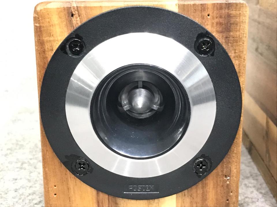 FOSTEX FT17H 2点セット FOSTEX FT17H 2点セット 送料無料 FOSTEX ホーンツィーター