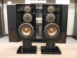DS-10000