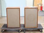 3LZ/Monitor Gold