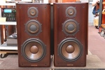 DS-1000ZA