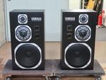 NS-1000M