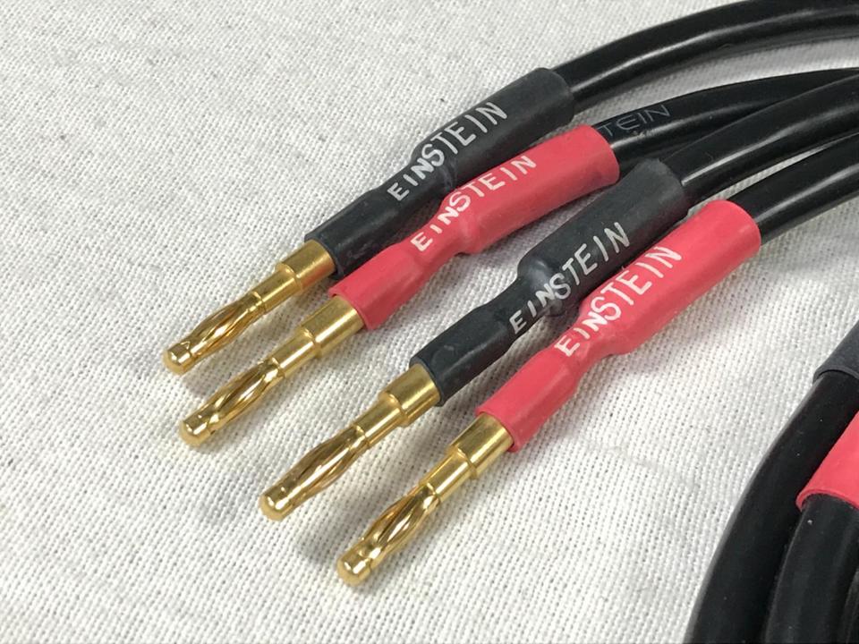 EINSTEINアインシュタインVivace スピーカーケーブル 約2.3mペア EINSTEIN アインシュタイン スピーカーケーブル CEINSTEIN 約230cmペア