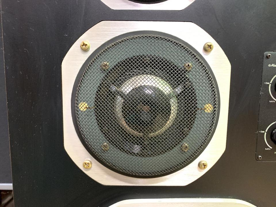 X-V スピーカー１つ　必ず２点ご購入下さい。 CORAL スピーカー X-V スピーカー1つです。必ず2つご購入下さい。 CORAL スピーカー