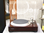 PL-50L2
