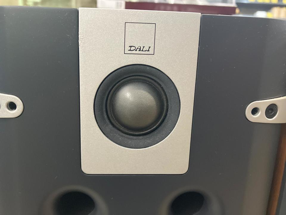 LEKTOR 2 DALI - HiFi-Do McIntosh/JBL/audio-technica/Jeff Rowland