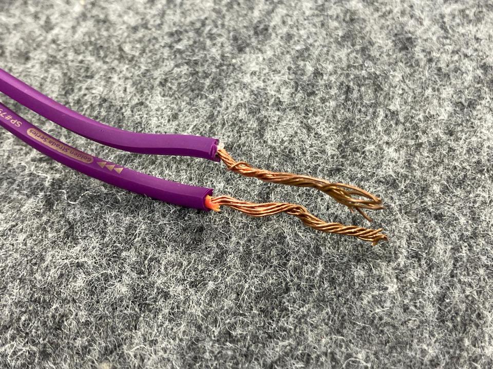 Golden Strada SP#79 SV/1.4m Nanotec Systems - 中古オーディオ 高価