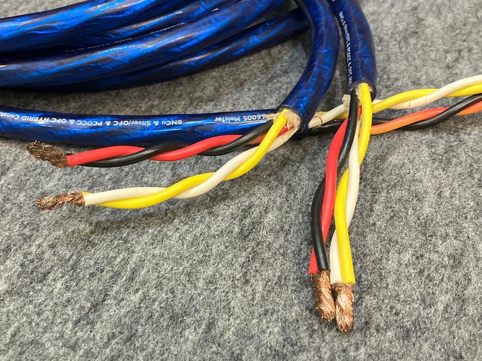 Zonotone 6NSP-6600S Meister スピーカーケーブル 2本 ヨドバシ.com - ゾノトーン ZONOTONE 特太バイワイヤー型スピーカー