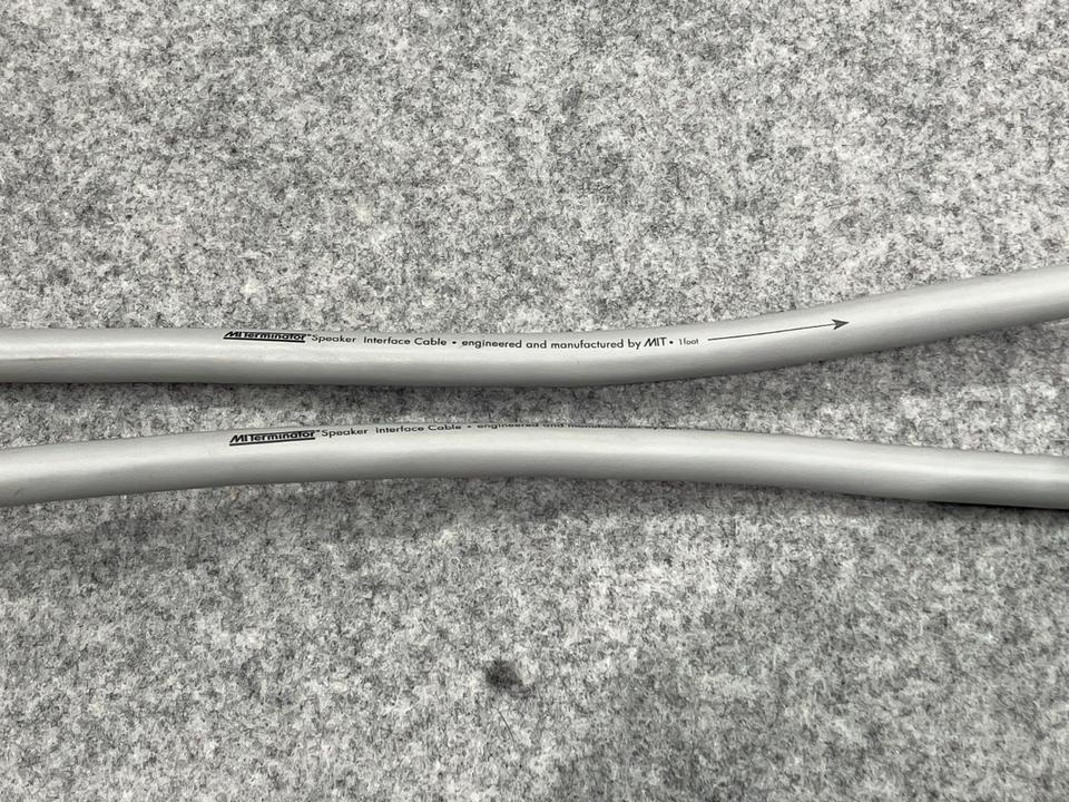 Terminator 2/2.4m MIT - 中古オーディオ 高価買取・販売 ハイファイ堂