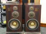 DS-2000