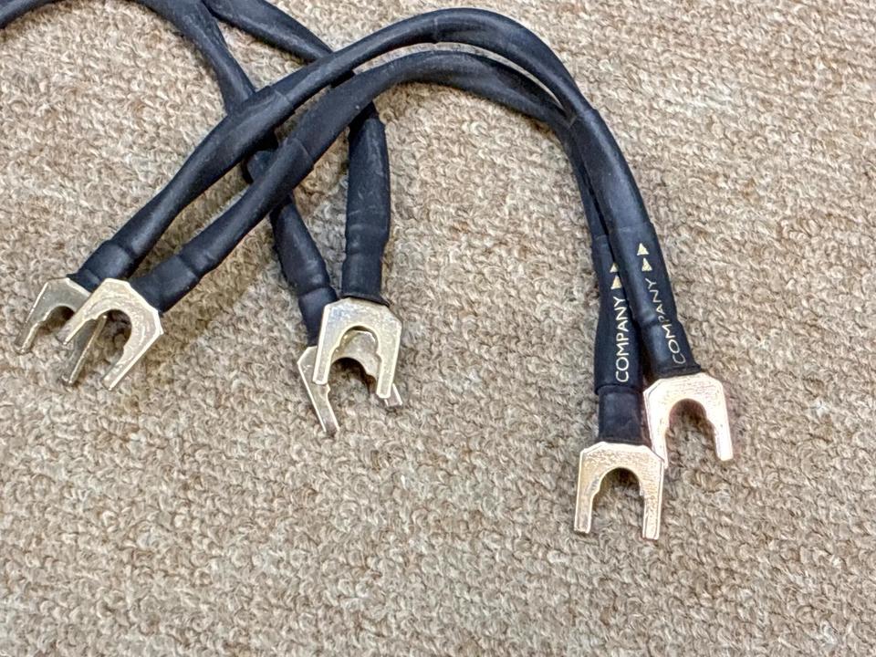Q-10 Links DH LABS - 中古オーディオ 高価買取・販売 ハイファイ堂