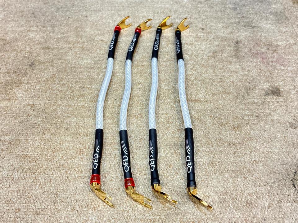 Signature Genesis Silver Spiral/0.25m QED - 中古オーディオ 高価